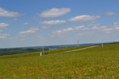 0.74 AC WITH LAKE & MTN VIEWS -- TOTALLY OPEN & LEVEL - photo 16