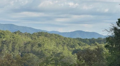 Cartecay River - Gilmer County Home For Sale in Ellijay Georgia