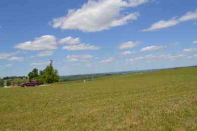 0.74 AC WITH LAKE & MTN VIEWS -- TOTALLY OPEN & LEVEL - photo 19