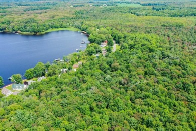 Lake Acreage For Sale in Gobles, Michigan