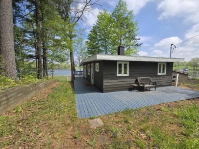Lake Home For Sale in Big Rapids, Michigan