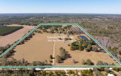 (private lake, pond, creek) Home For Sale in Wellborn Florida