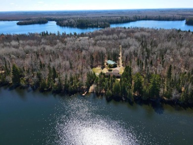 (private lake, pond, creek) Home For Sale in Bigfork Minnesota
