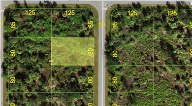 Port Charlotte Waterway Area Lot For Sale in Port Charlotte Florida