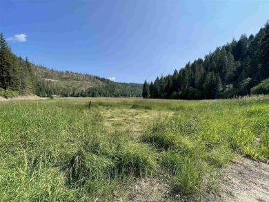 Lake Lot For Sale in Loon Lake, Washington