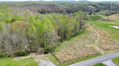 (private lake, pond, creek) Lot For Sale in Smithville Tennessee