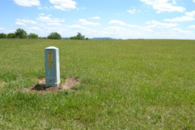 0.74 AC WITH LAKE & MTN VIEWS -- TOTALLY OPEN & LEVEL - photo 3