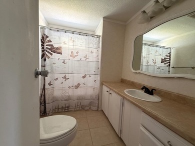 Move-In Ready 2BR/2BA Home with Major Updates in Saralake - photo 36