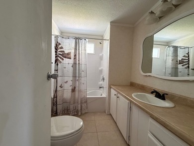 Move-In Ready 2BR/2BA Home with Major Updates in Saralake - photo 37
