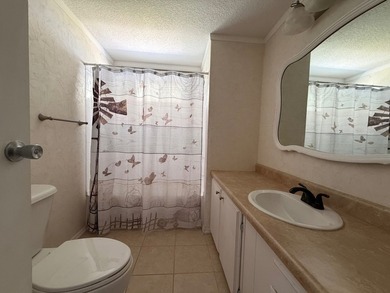 Move-In Ready 2BR/2BA Home with Major Updates in Saralake - photo 38