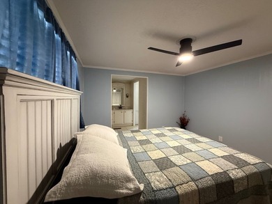 Move-In Ready 2BR/2BA Home with Major Updates in Saralake - photo 43