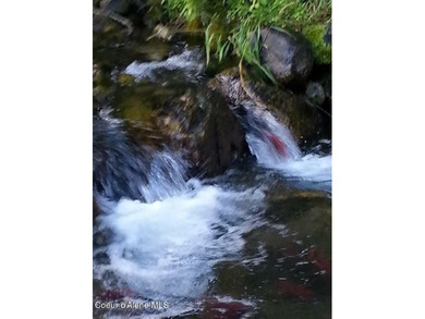 Lakefront Paradise on Lake Pend Oreille - 3.68 Acres with Two - photo 50