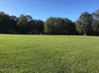 Lake Lot For Sale in Picayune, Mississippi