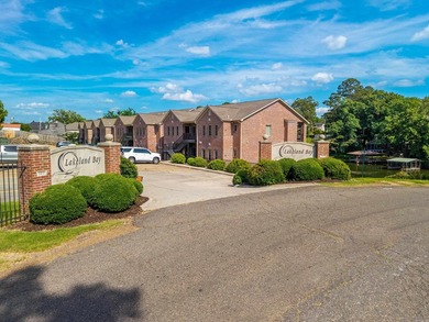 Find your dream lakeside retreat in this 2 bedroom, 2.5 bath - photo 2
