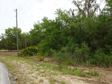 LAKEFRONT LOT IN RAINBOW LAKES ESTATES! Discover the perfect - photo 12