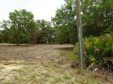 LAKEFRONT LOT IN RAINBOW LAKES ESTATES! Discover the perfect - photo 13