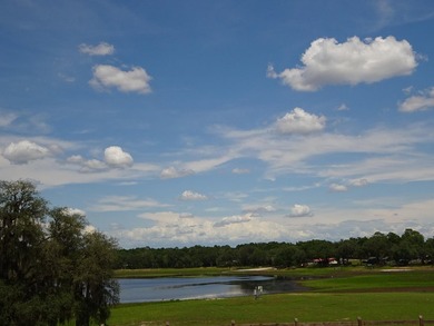 LAKEFRONT LOT IN RAINBOW LAKES ESTATES! Discover the perfect - photo 17