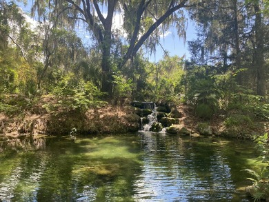 LAKEFRONT LOT IN RAINBOW LAKES ESTATES! Discover the perfect - photo 21