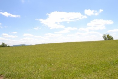 0.74 AC WITH LAKE & MTN VIEWS -- TOTALLY OPEN & LEVEL - photo 4