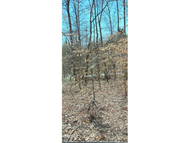 Tellico Lake Lot Sale Pending in Loudon Tennessee