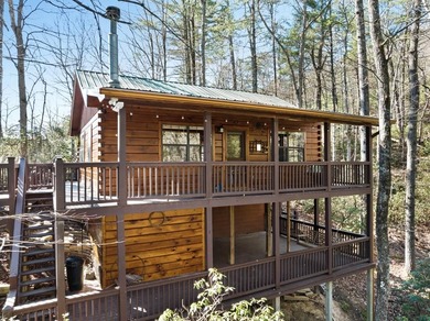 Cherry Log Lake Home For Sale in Cherry Log Georgia