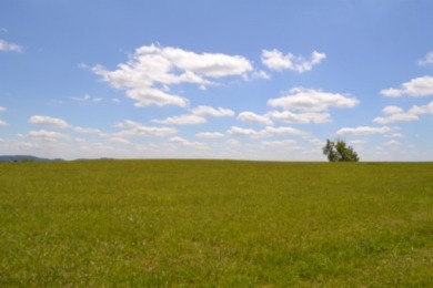 0.74 AC WITH LAKE & MTN VIEWS -- TOTALLY OPEN & LEVEL - photo 7
