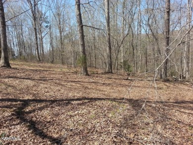 Beautiful lot located in Stipes Hill subdivision, Ten Mile.Tn - Lake Lot For Sale in Ten Mile, Tennessee