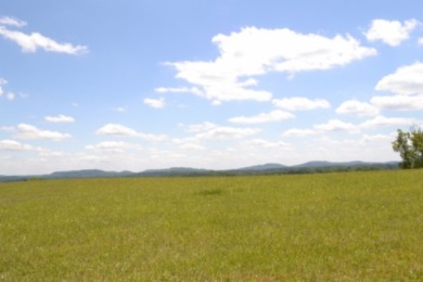 0.74 AC WITH LAKE & MTN VIEWS -- TOTALLY OPEN & LEVEL - photo 2
