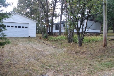 Bull Shoals Lake Home For Sale in Diamond City Arkansas