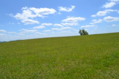 0.74 AC WITH LAKE & MTN VIEWS -- TOTALLY OPEN & LEVEL - photo 9