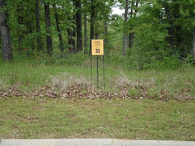 Mineral Rights Are Reserved. Beautiful West Shreveport Lot - photo 1