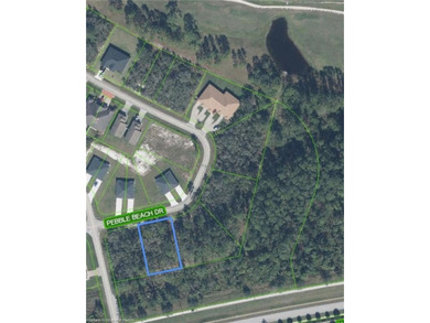 Build your Florida dream home or multifamily unit on this - photo 2