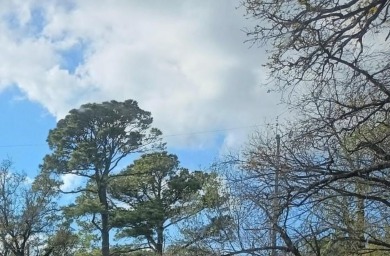 Lake Lewisville Lot Active Under Con in Lewisville Texas