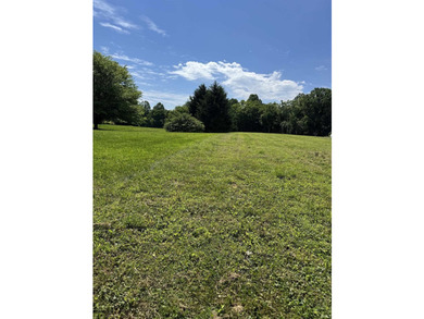 1.75 acre lot cleared and ready for your new home! The seller - photo 1