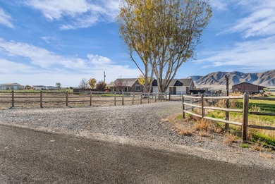The home is fully remodeled in 2019 and beautifully finished - photo 7