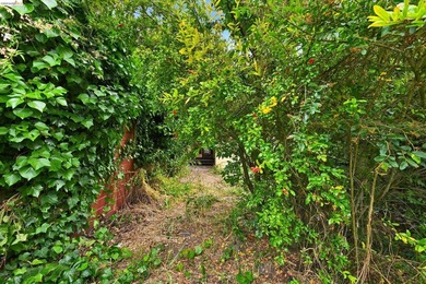 Located in the heart of South Berkeley, this property presents - photo 40