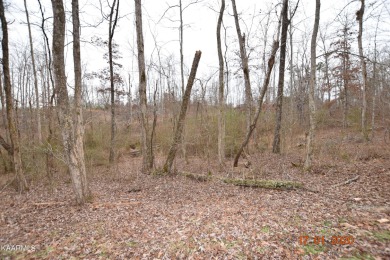 Beautiful lot located in Stipes Hills Subdivision, Ten Mile, Tn - Lake Lot Sale Pending in Ten Mile, Tennessee