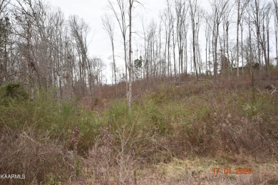 Beautiful lot located in Stipes Hills Subdivision, Ten Mile, Tn - Lake Lot For Sale in Ten Mile, Tennessee