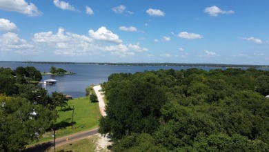 4-2 Waterview Home on West Side of Lake with Boat Ramp Access - photo 5