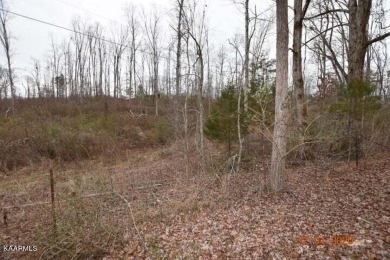 Beautiful lot located in Stipes Hills subdivision. Ten Mile, Tn - Lake Lot For Sale in Ten Mile, Tennessee