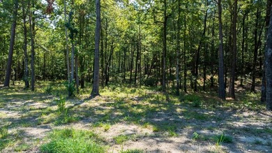 Sellers say BRING BUYER!!! New Construction Home - Eagles - photo 28
