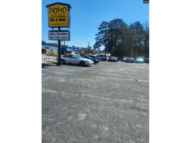 Carys Lake Commercial For Sale in Columbia South Carolina