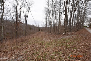 Beautiful lot located in Stipes Hills Subdivision, Ten Mile, Tn - Lake Lot For Sale in Ten Mile, Tennessee