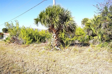 142 Sunny Way Rotonda West,  FL. 
This is a vacant land on a 7 - photo 3