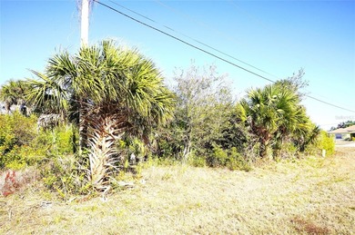 142 Sunny Way Rotonda West,  FL. 
This is a vacant land on a 7 - photo 4