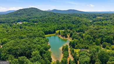 WELCOME HOME TO CHIMNEY LAKE - ADORABLE CRAFTSMAN RANCH ON OVER - photo 47