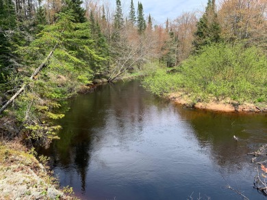 Betsie River Acreage For Sale in Paradise Michigan