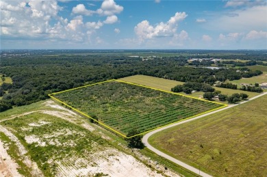 (private lake, pond, creek) Acreage For Sale in Lake Wales Florida