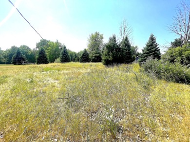 Derby Lake Lot For Sale in Stanton Michigan
