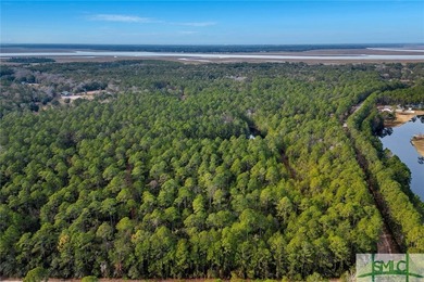 Hidden Gem in Richmond Hill! Discover a rare opportunity to own - photo 11